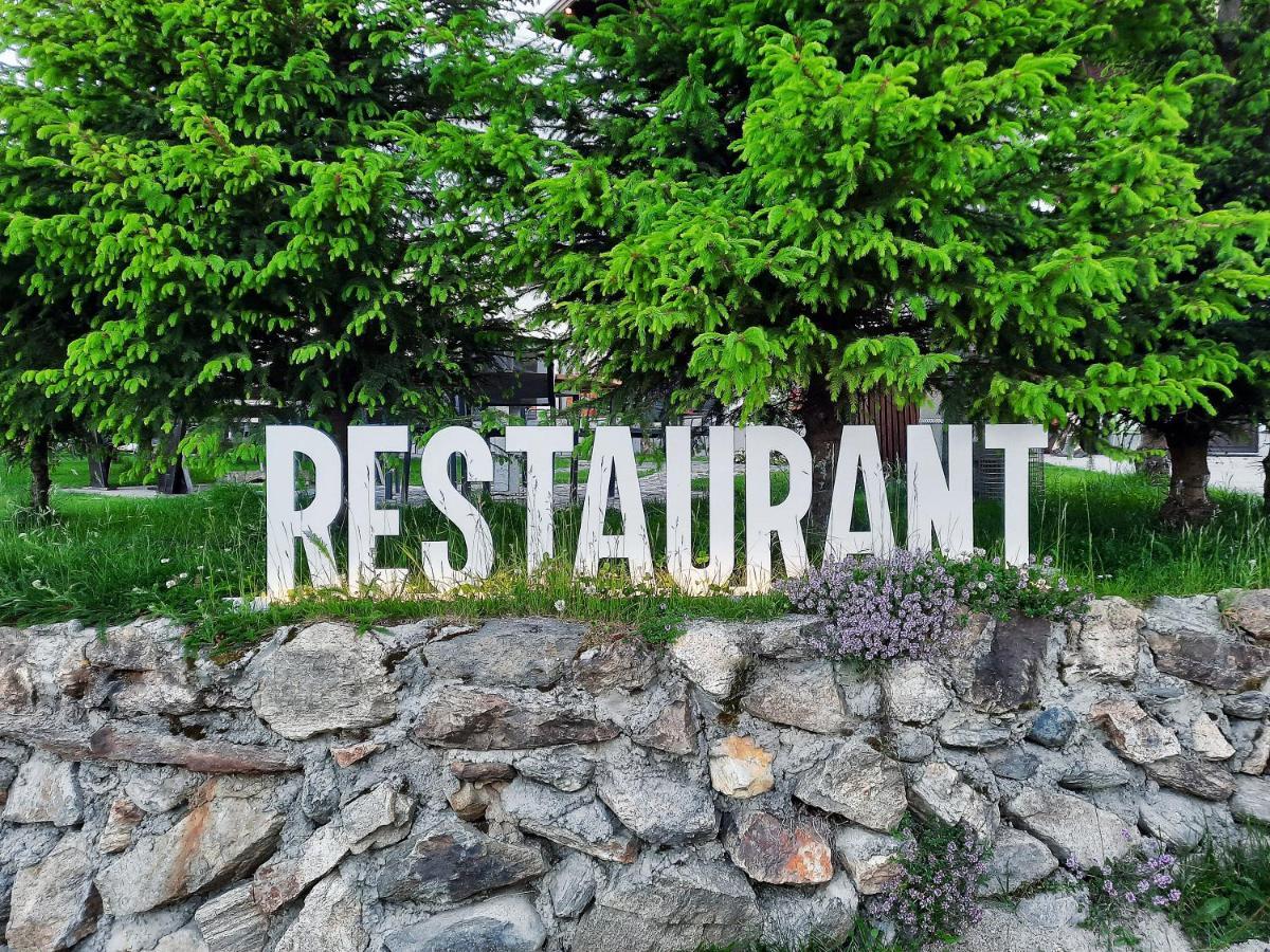 Pensiune & Restaurant Victoria Păltiniş エクステリア 写真