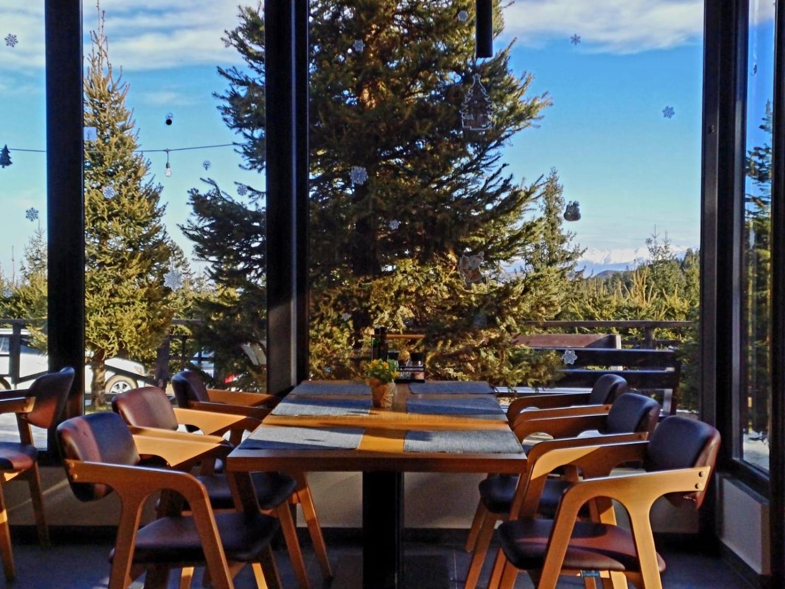 Pensiune & Restaurant Victoria Păltiniş エクステリア 写真